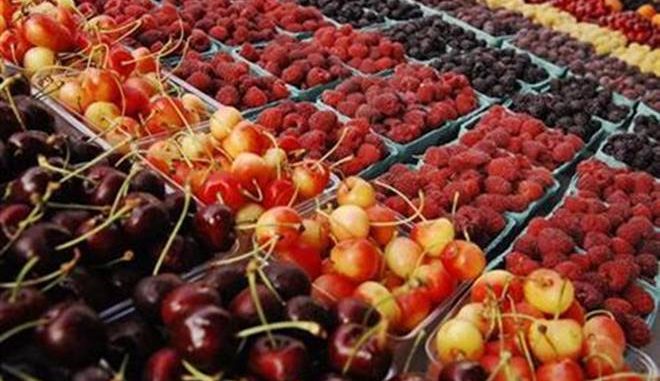 fruits-R-L-660x381